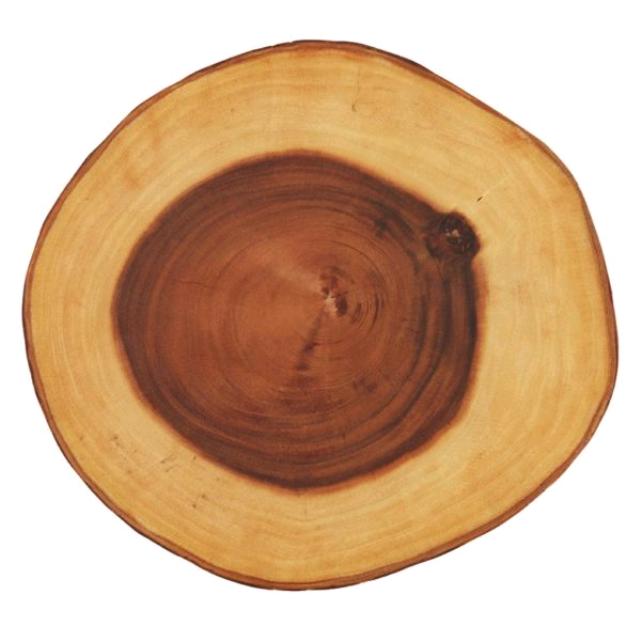 Where to find wood slice 13 inch rd in Ada