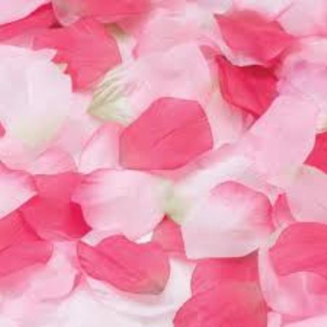 Rental store for rose petals pink in Southeastern Oklahoma