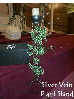Rental store for silver vein plant stand in Southeastern Oklahoma
