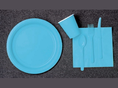 Rent disposable solid color tableware sales